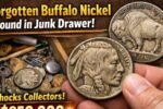 Forgotten Buffalo Nickel Found in Junk Drawer Shocks Collectors, Valued at $850,000 and Still Circulating in Everyday Change